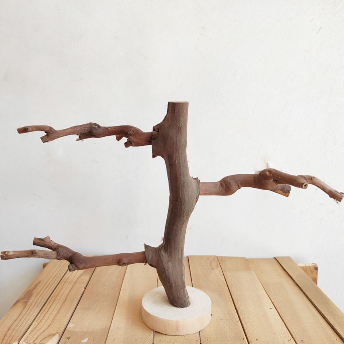 Multifunction Parrot Stand Free Standing Portable Indoor C