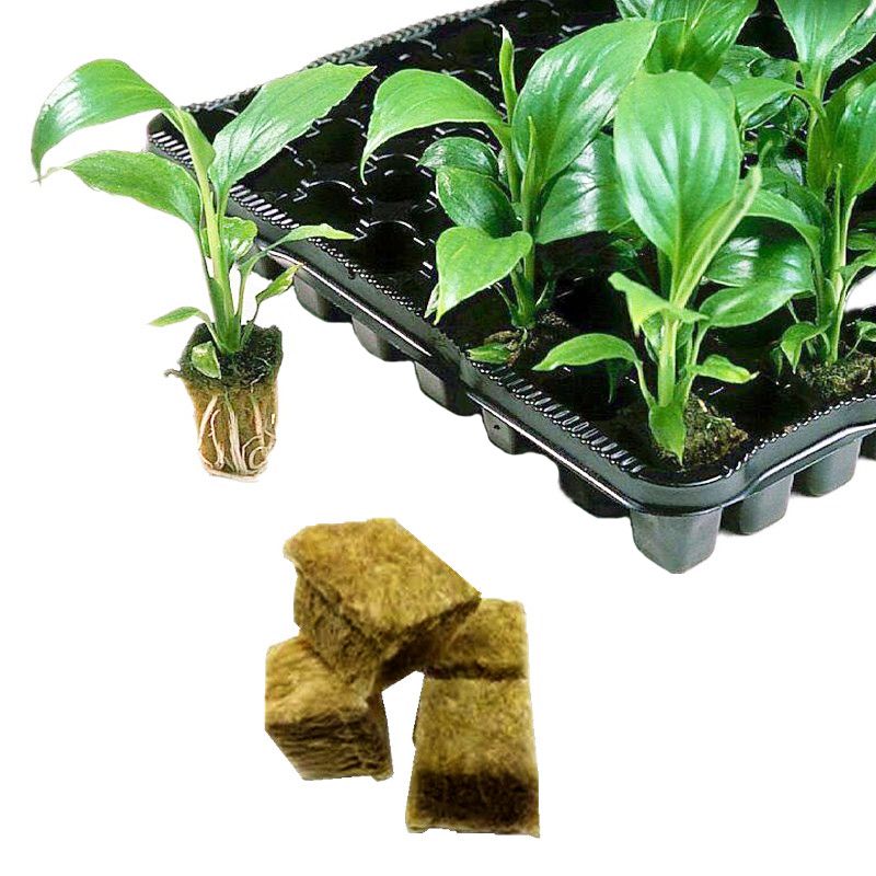 2019 Ty High Quality New Ventilative Planting Soilless Cultivation Rockwool Cubes Hydroponic Grow Mini Blocks Compress Base