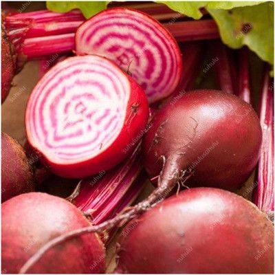100 Pcs Artificial Beetroot