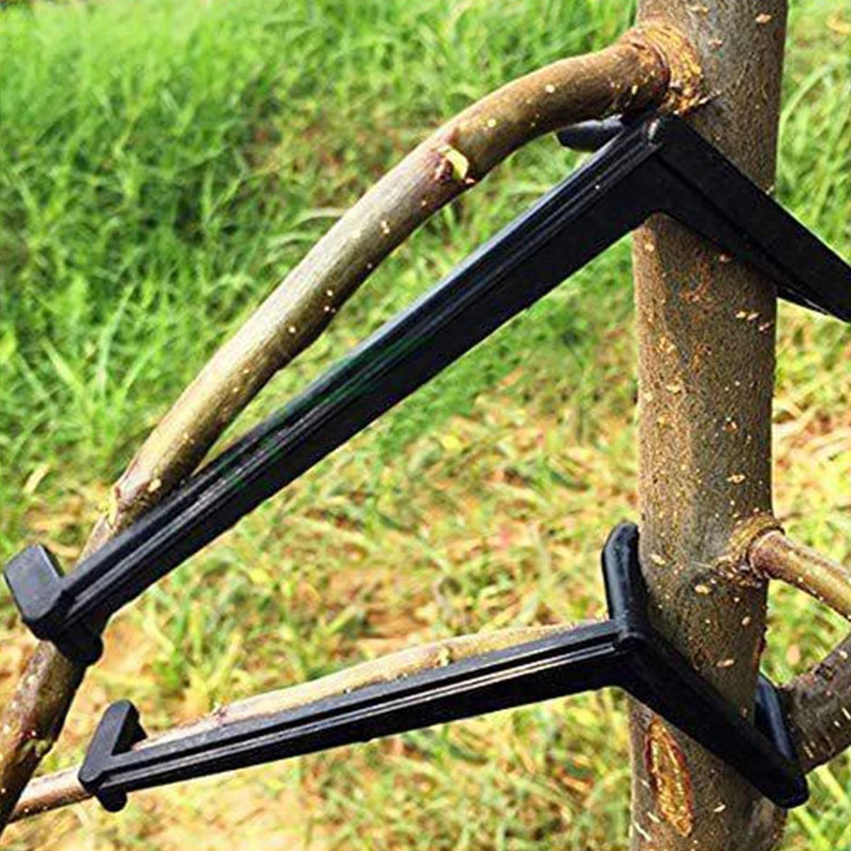 10Pcs Branch Supporter Garden Fruit Tree Branch Spreader Black