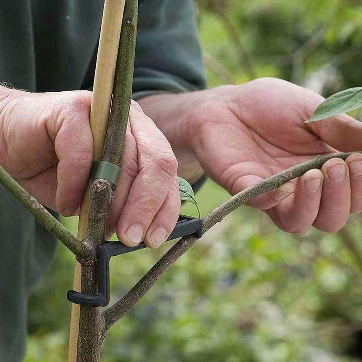 10Pcs Branch Supporter Garden Fruit Tree Branch Spreader Black