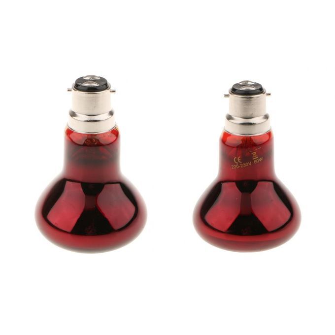 2Pcs Reptile Night Light UVA  Basking Lamp Brooder Lamp Bulb