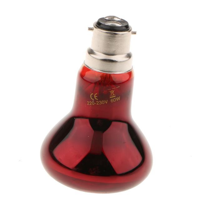 2Pcs Reptile Night Light UVA  Basking Lamp Brooder Lamp Bulb