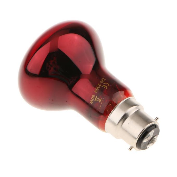 2Pcs Reptile Night Light UVA  Basking Lamp Brooder Lamp Bulb