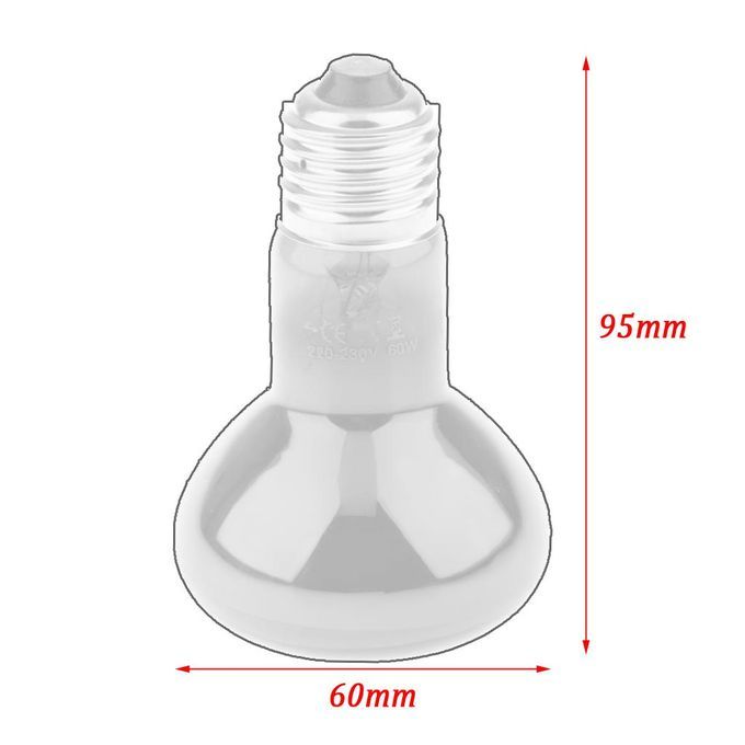 2Pcs Reptile Night Light UVA  Basking Lamp Brooder Lamp Bulb