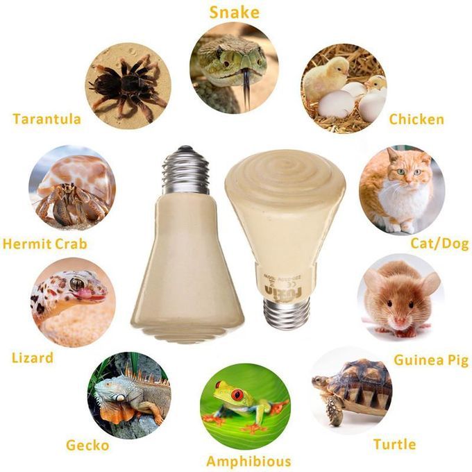 60W Infrared Ceramic Heat Light Emitter Lamp Bulb For Reptile Pet Brooder Chicken-60W