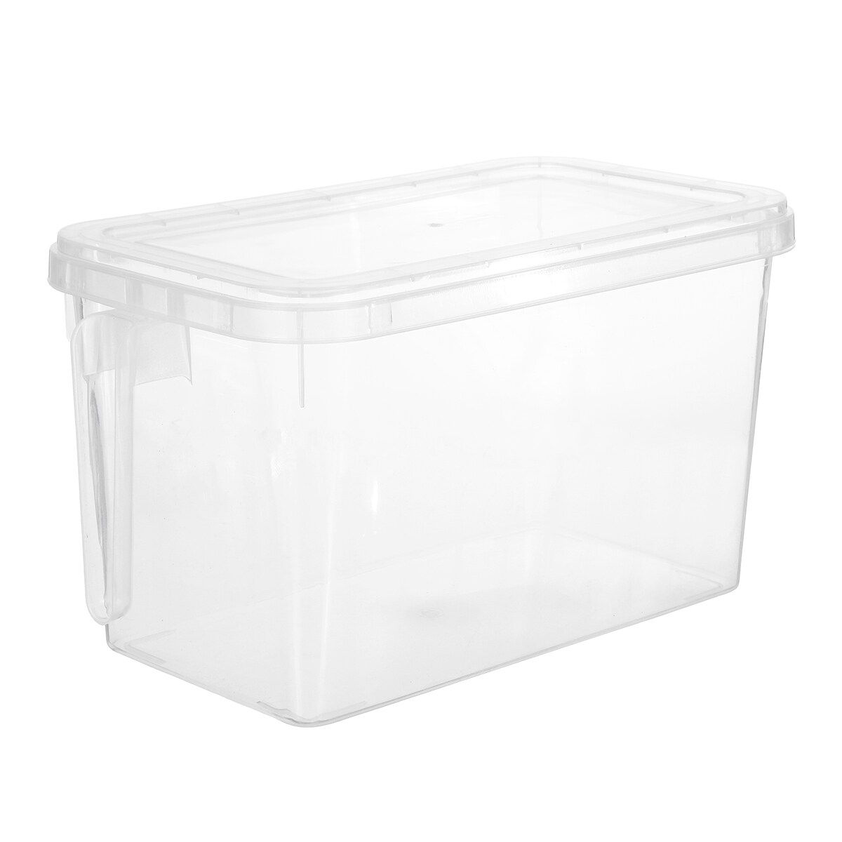 Kitchen Fridge Organizer Clear Storage Box Egg Fruit Food Container With Handle Clear