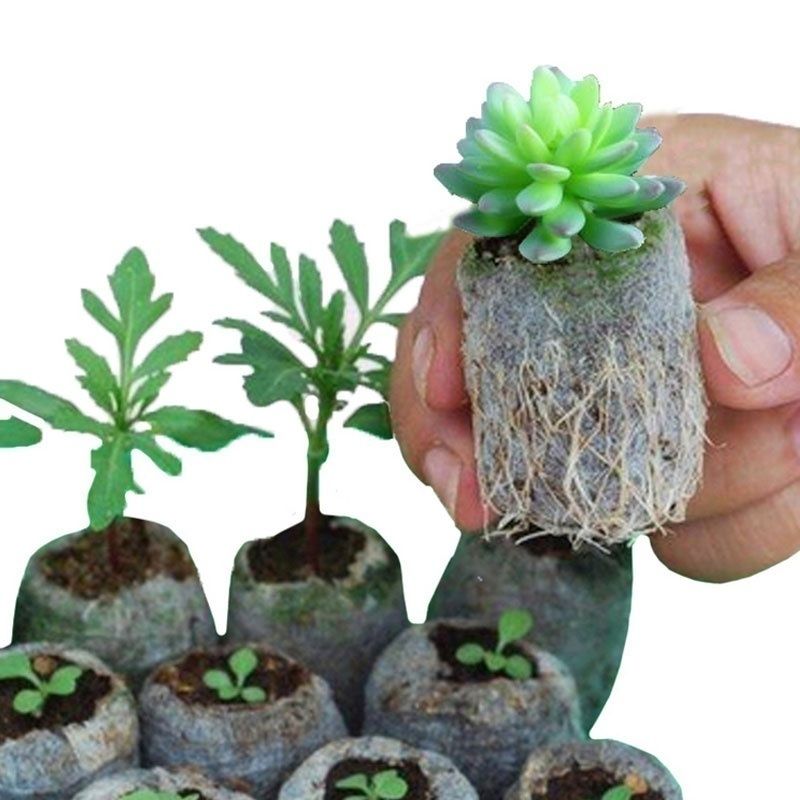 Nursery Flower Pots Vegetable Transplant Breeding Bag