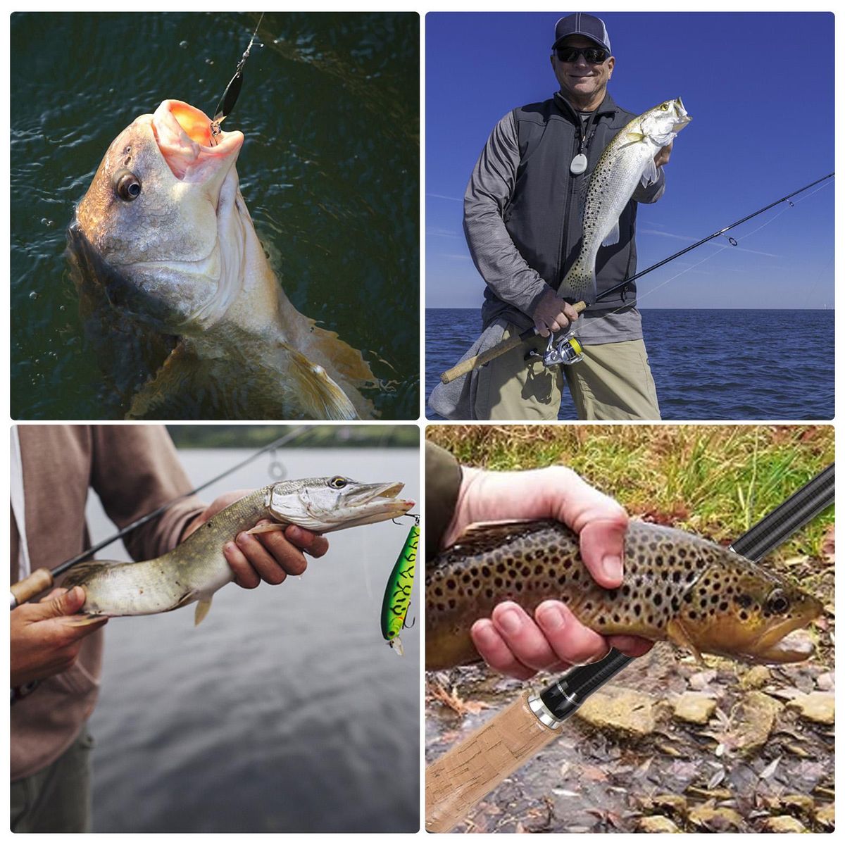 Fishing Rod for Freshwater and Saltwater Fishing 4-Section 2.1m / 2.4m Spinning Rod Casting Rod