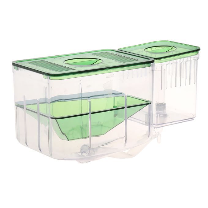 Nursery   Tank With Isolation Breeding Hatchery For Aquarium Breeding