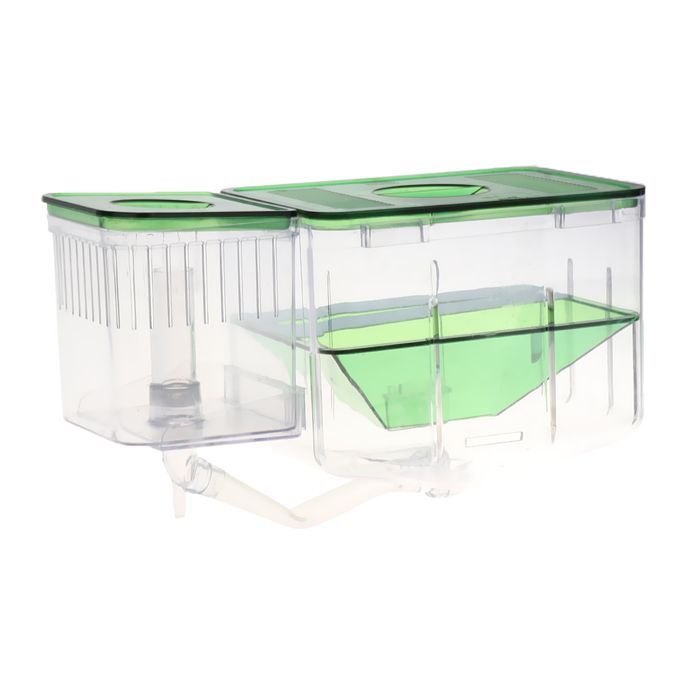 Nursery   Tank With Isolation Breeding Hatchery For Aquarium Breeding