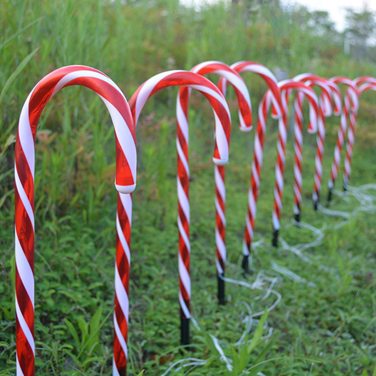 Christmas Yard Cane Lights, Candy 10 Pack Cane Pathway