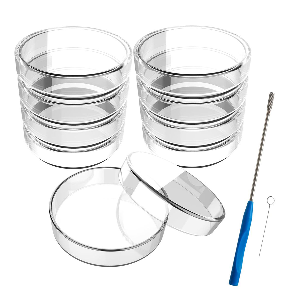 100 mm Glass Dishes 10 Pcs Autoclavable Lab Plates with A Inoculation Loop Autoclavable and Reusable