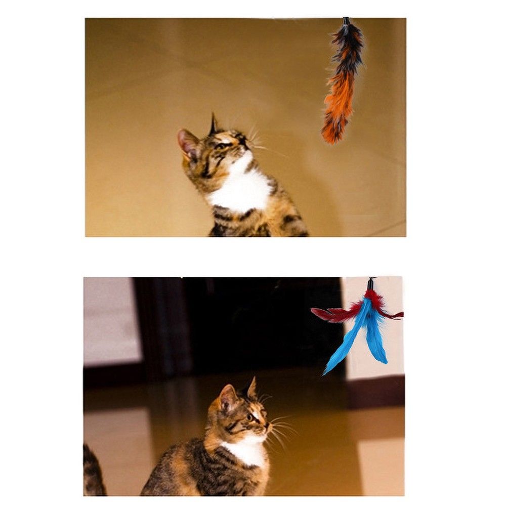 Cat Feather Rod Interactive Feather Teaser Retractable Cat