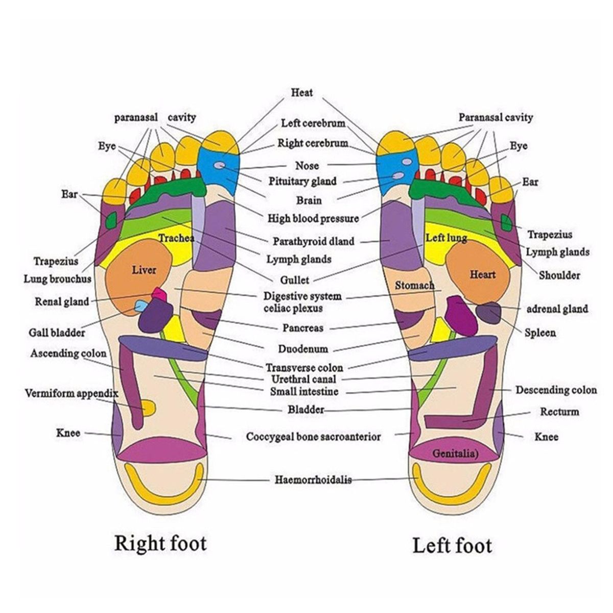 Acupressure Massage Slipper Foot Massager Jade Stone Acupoint Massage Slippers Shoes Reflexology Sandals for Men Women