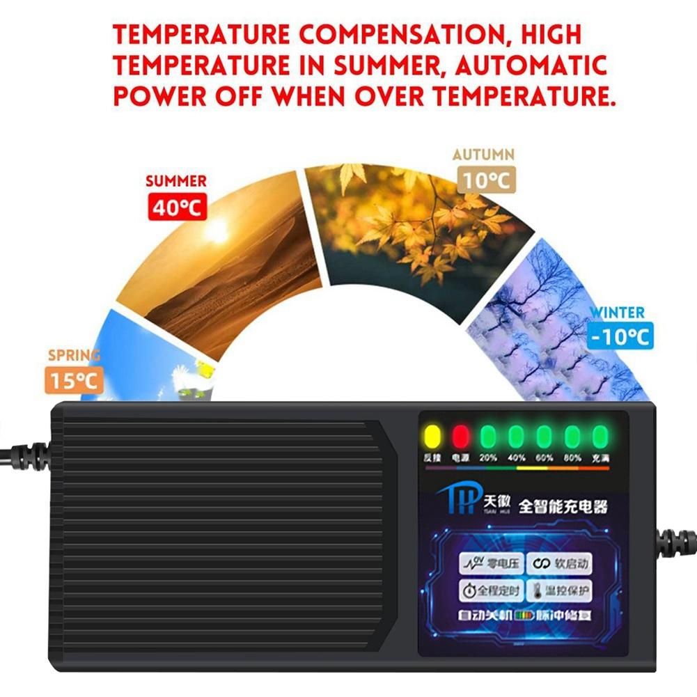 48V 20AH Electric Vehicle Charger with 7 Light Power