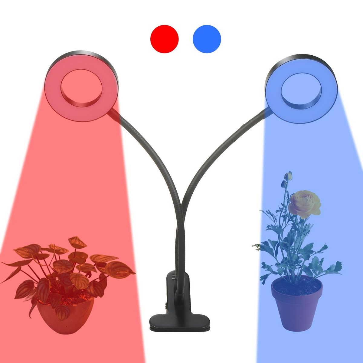 Dual Head LED Grow Ring Light for Indoor Plants Red & Blue Spectrum USB Powered Clip-on Desk Plant Growing Lamps with Flexible Metal Hose for Succulent Plants Seedlings Flowers