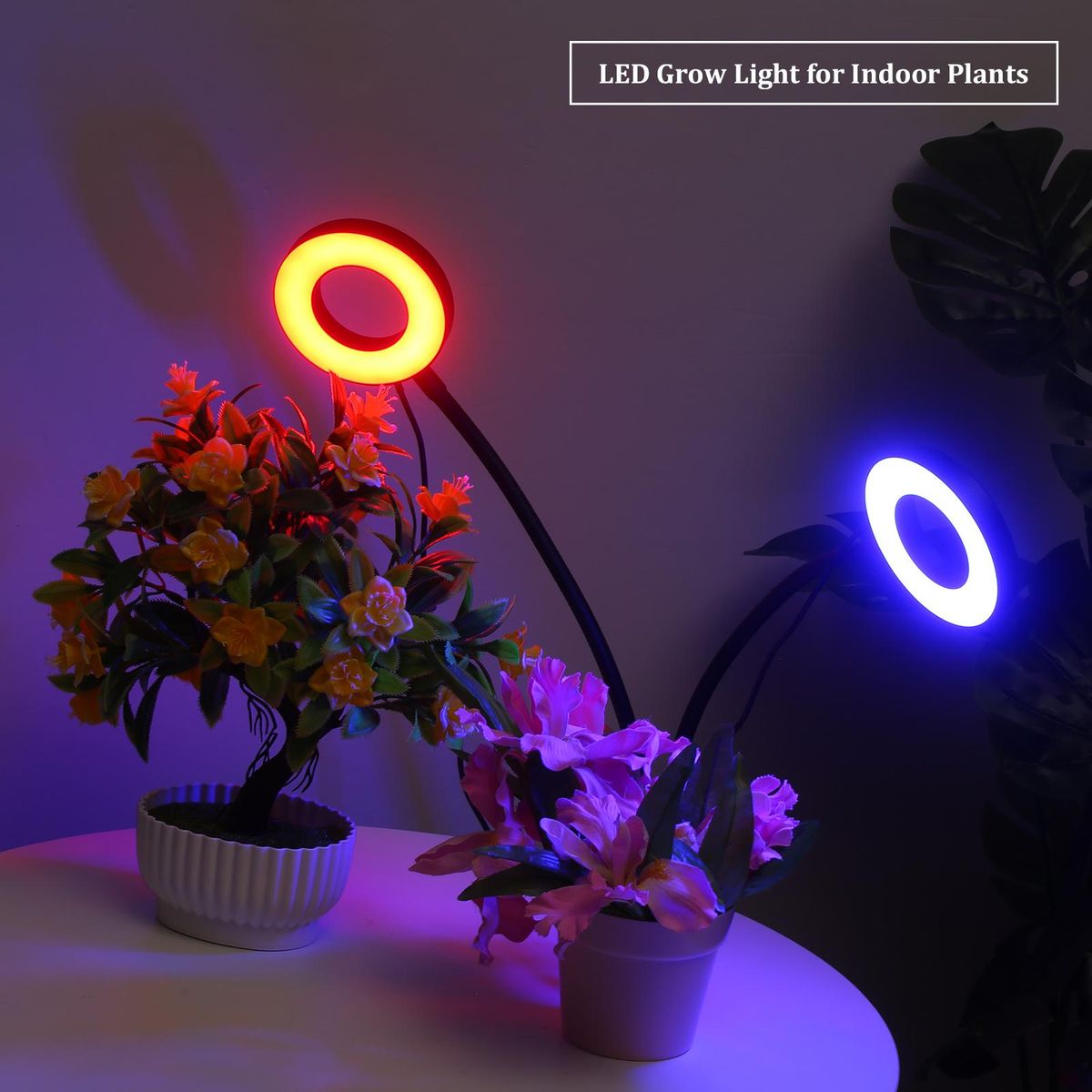 Dual Head LED Grow Ring Light for Indoor Plants Red & Blue Spectrum USB Powered Clip-on Desk Plant Growing Lamps with Flexible Metal Hose for Succulent Plants Seedlings Flowers