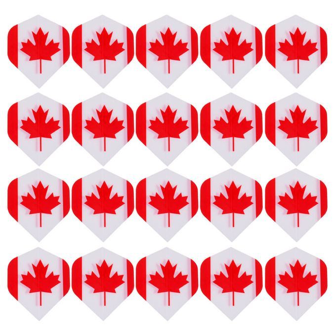 20 Pieces Standard Dart Flights Professional Durable PET Canada