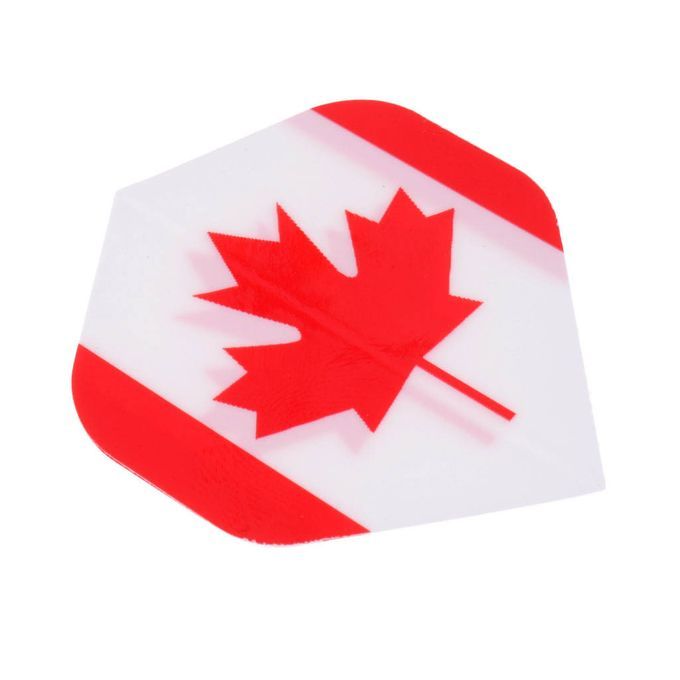 20 Pieces Standard Dart Flights Professional Durable PET Canada
