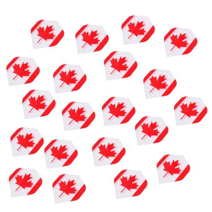 20 Pieces Standard Dart Flights Professional Durable PET Canada