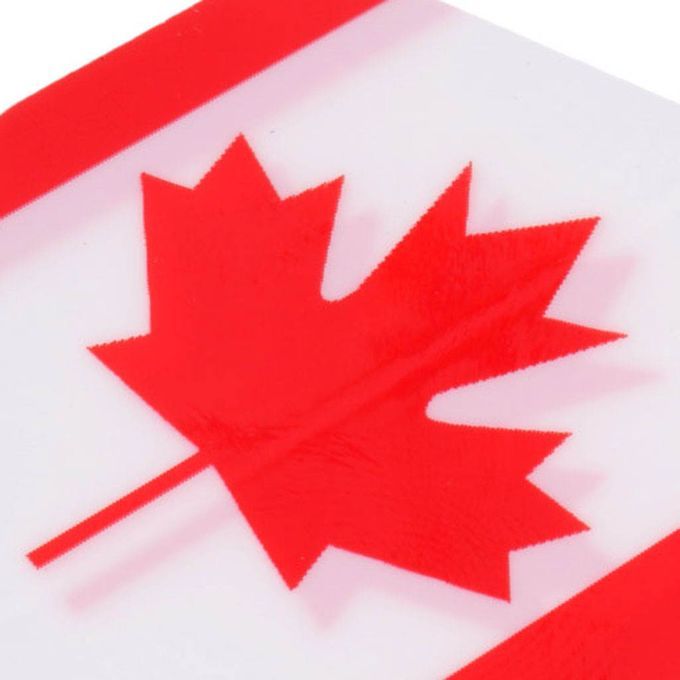 20 Pieces Standard Dart Flights Professional Durable PET Canada