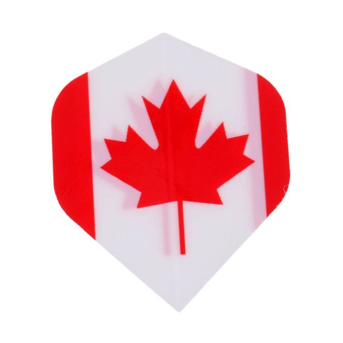 20 Pieces Standard Dart Flights Professional Durable PET Canada