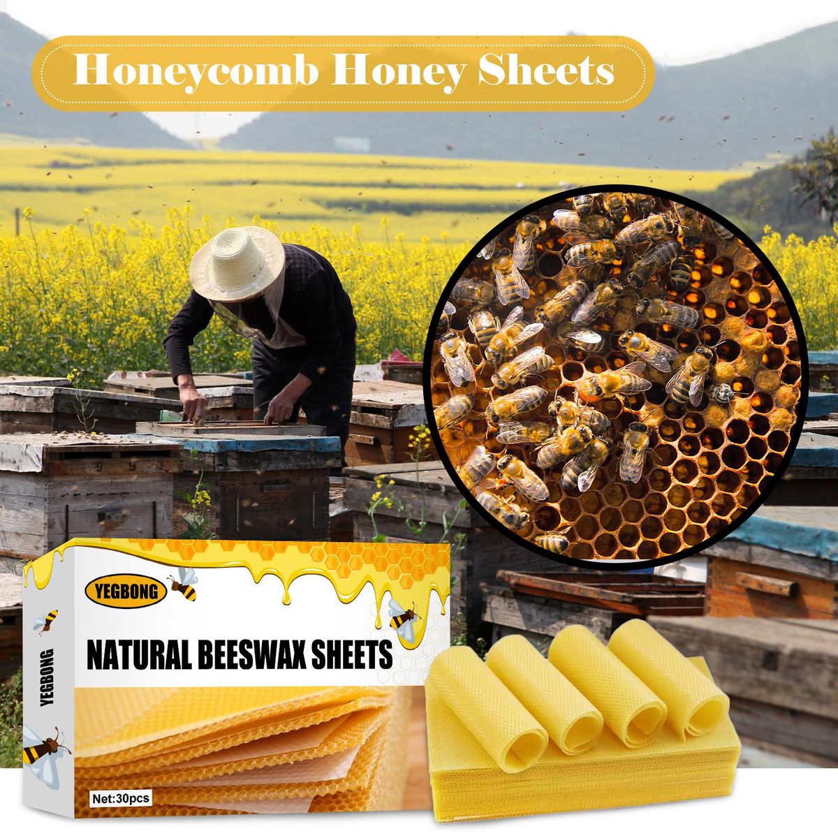 YEGBONG 10PCS Bee Honey Sheets Beeswax Sheets Beehive Foundation Honeycomb Honey Frame Portable Wild Bee Beekeeper Tool for Beekeeper Supplies Hive Tool Candle Making