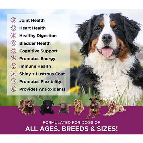 SuperVitamin+ Chews Dog Heart,liver, Kidney & Brain Health