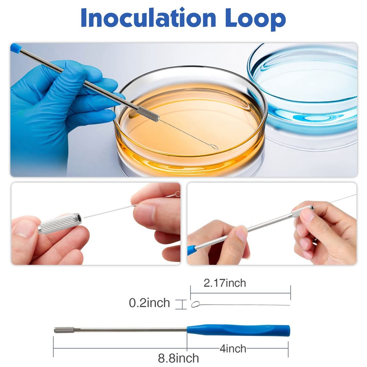 60 mm Glass Dishes 10 Pcs Autoclavable Lab Plates with A Inoculation Loop Autoclavable and Reusable