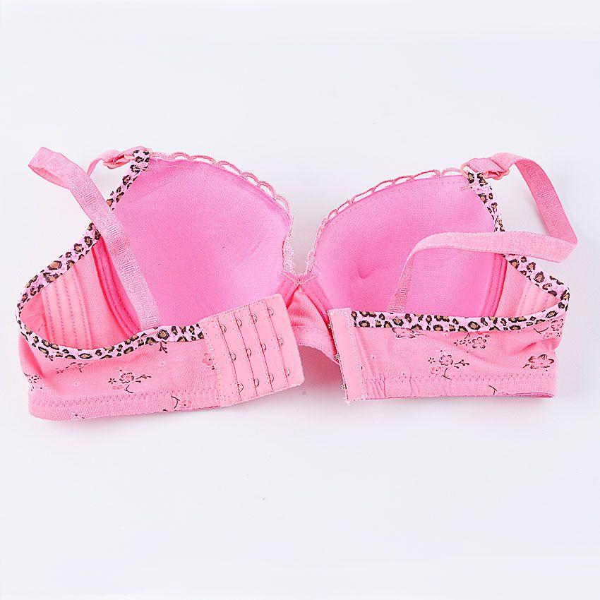 Chuns Women Embroidered Floral Lace Padded Bra