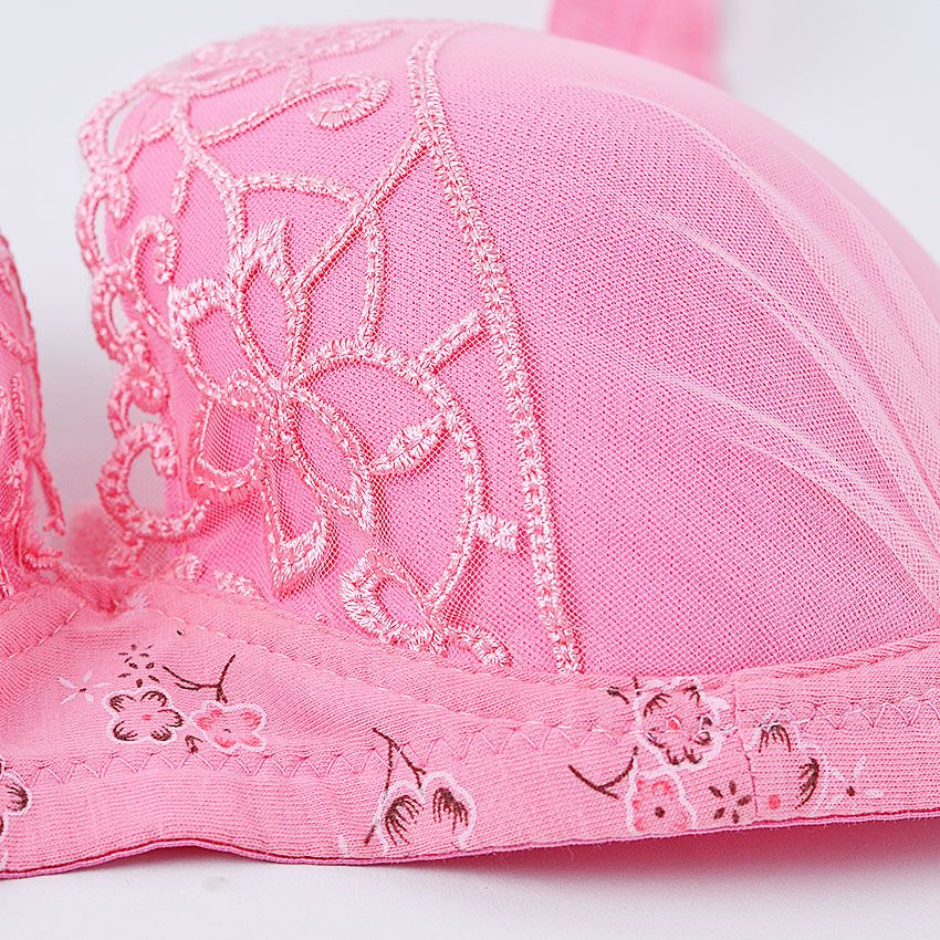 Chuns Women Embroidered Floral Lace Padded Bra