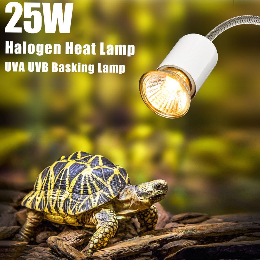 25W Halogen Heat Lamp UVA UVB Basking Lamp Heater Light Bulb
