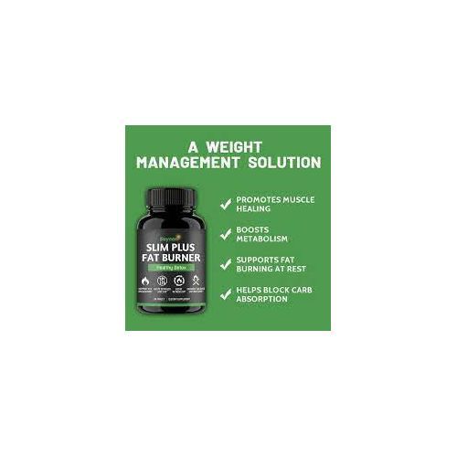 Slim Plus Fat Burner - 60 Capsule
