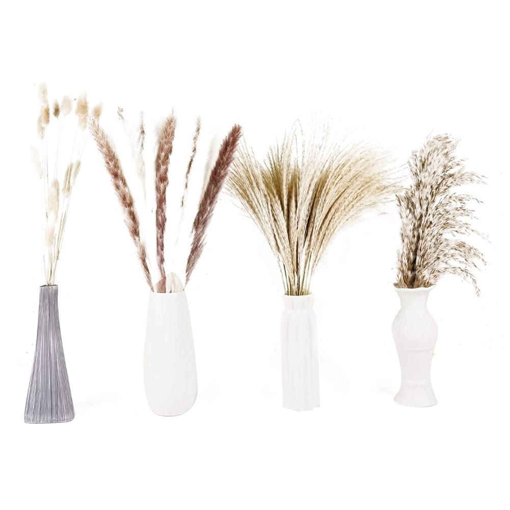 Pampas Grass, Dried Flowers,Pampas Grass Velvet for Flower H