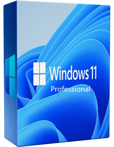 Windows 11 Professional License Key-1 Device