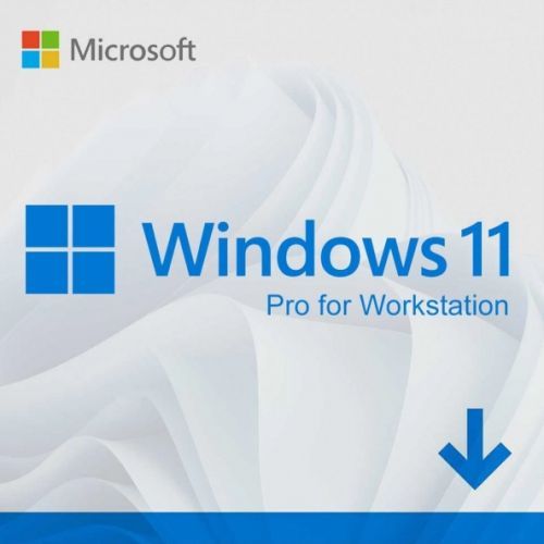 Windows 11 Professional For Workstation License Key