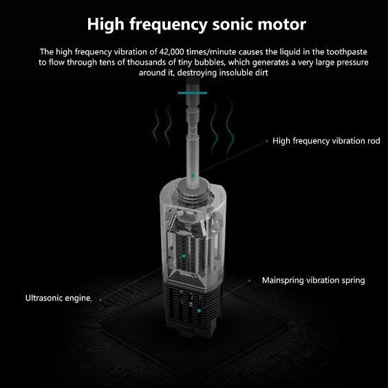 Electric Toothbrush Sonic Vibration 6 Files Soft Fur USB