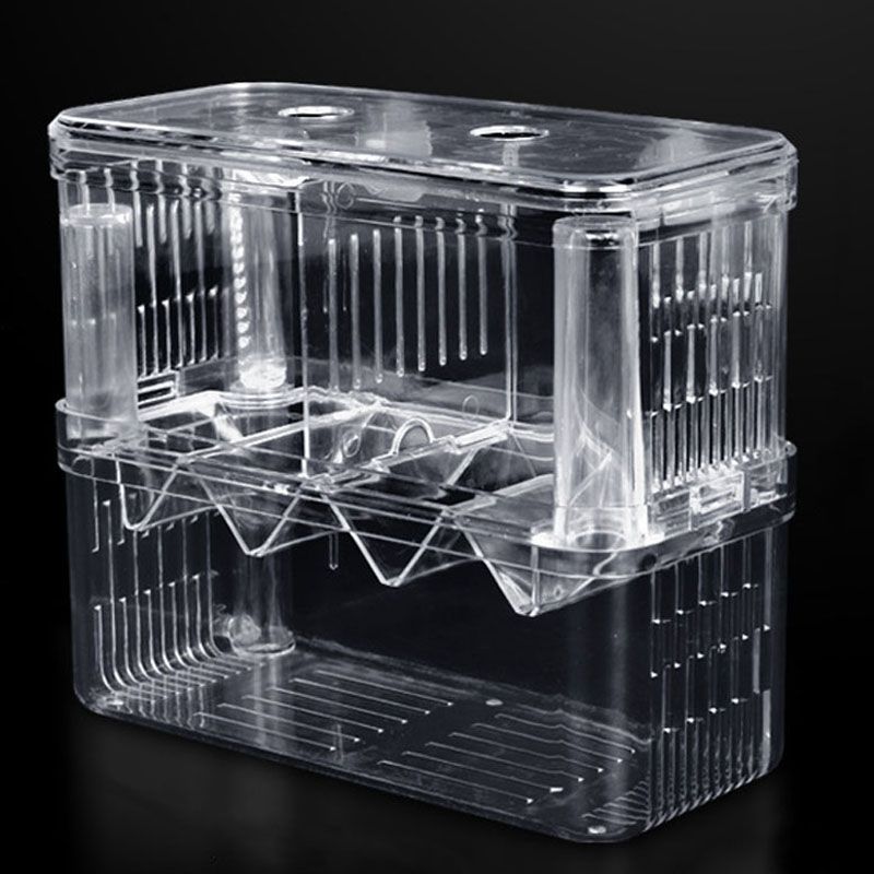 Extra Large Peacock Fish Double Layer Breeding Isolation Box