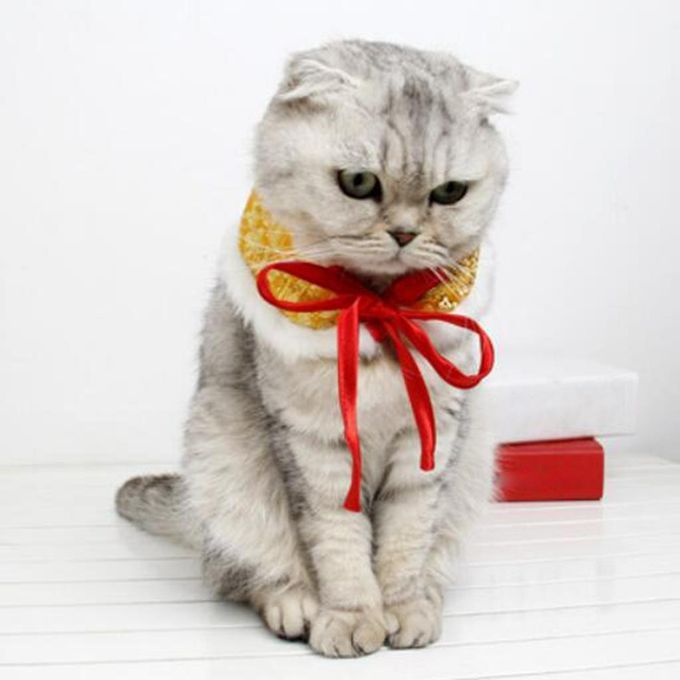 Cute Pet Cloak Shawl Bow Tie New Year Scarf Dress Up Chinese Yellow M