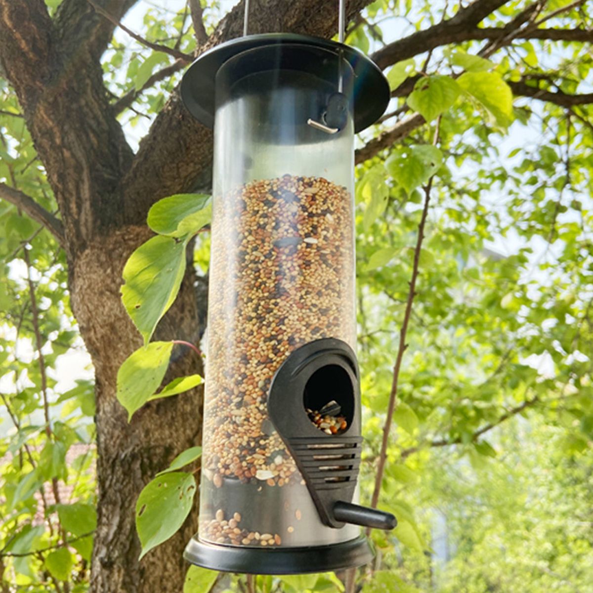 Bird Feeder Hanging Bird Feeder Tube Hanging Feeder 420ml
