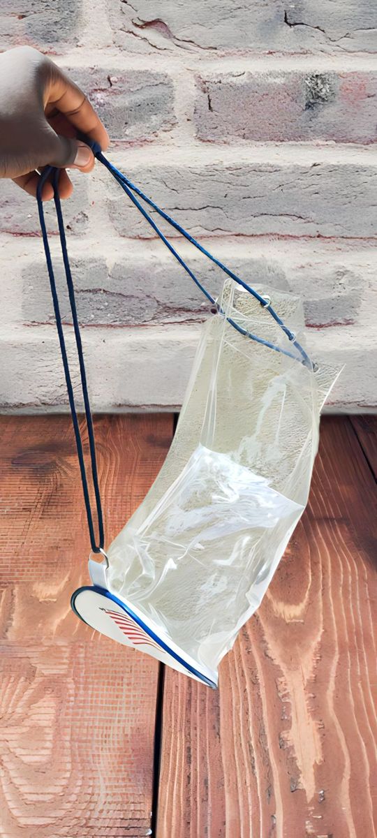 Picnic Lunch Backpack Transparent Waterproof
