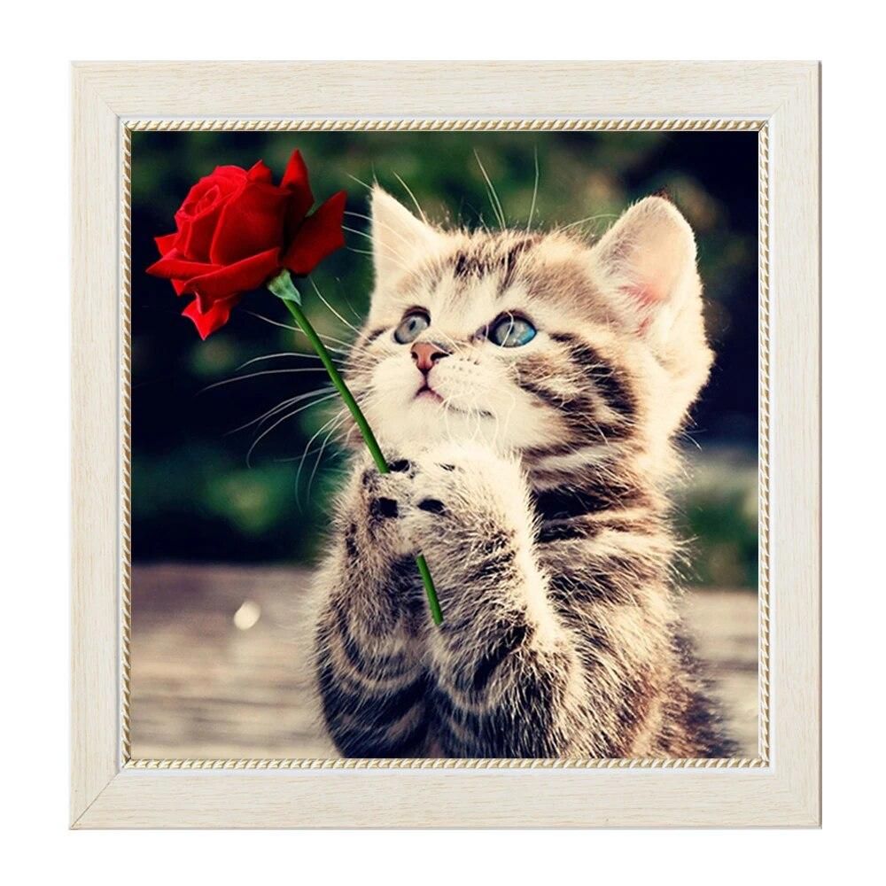 Diamond Mosaic Home Decoration Diamond Embroidery Kits DIY Rose and Cat Pattern Animals Diamond Painting Cross Stitch