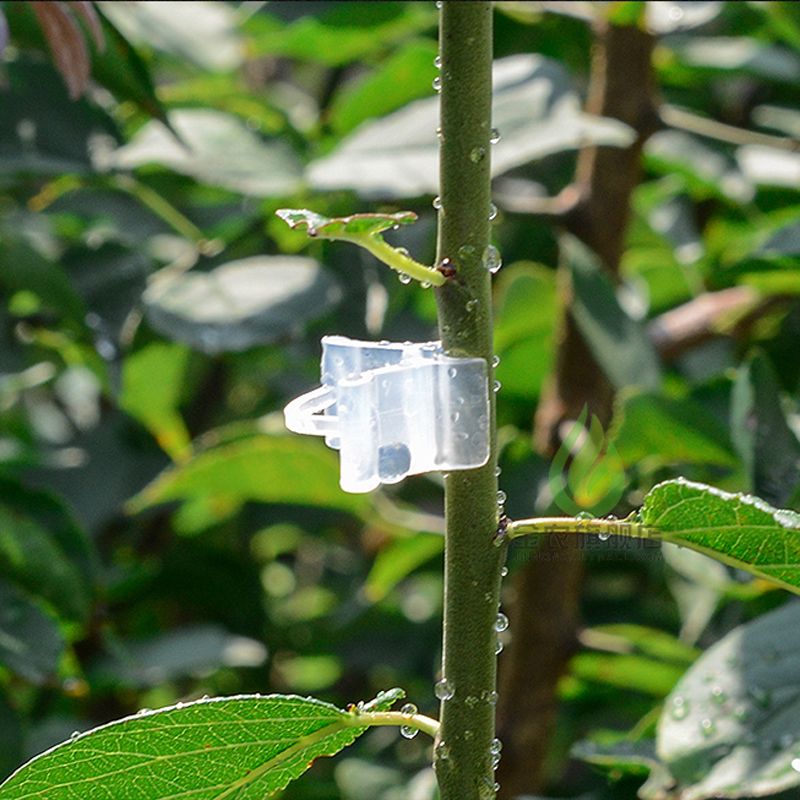 50pcs/Pack Plastic Mini Grafting Clips Plants Support Seeding Grafting Clip Tool For Home- Show