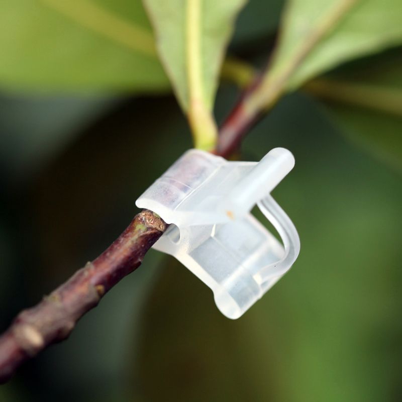 50pcs/Pack Plastic Mini Grafting Clips Plants Support Seeding Grafting Clip Tool For Home- Show