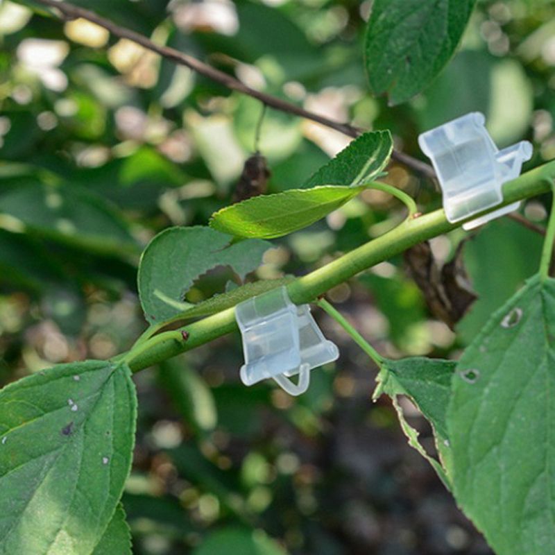 50pcs/Pack Plastic Mini Grafting Clips Plants Support Seeding Grafting Clip Tool For Home- Show