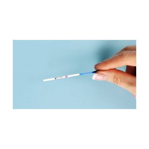 PREGNANCY TEST STRIPS 2pcs