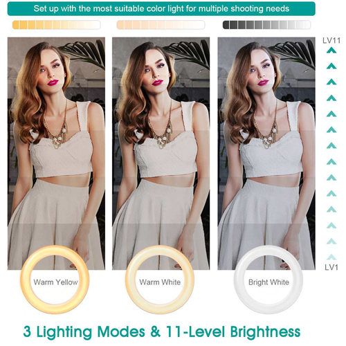 10 "LED Ring Light Dimmable Video Makeup Selfie Night Light