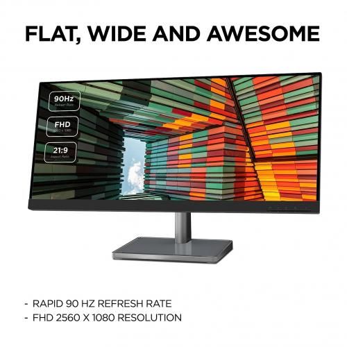L29w-30 29" Ultrawide Full HD Monitor