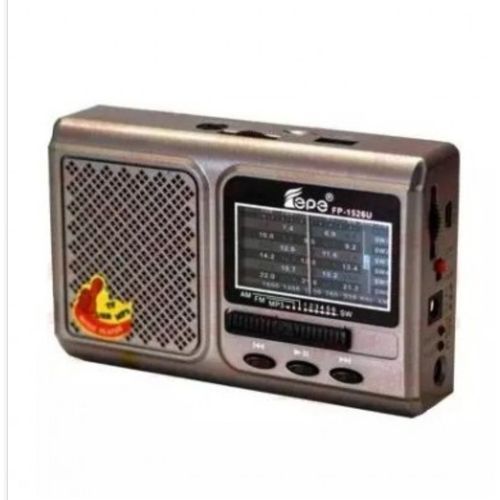 Rechargeable World Band Radio With Usb/Micro Sd/ Flashlight